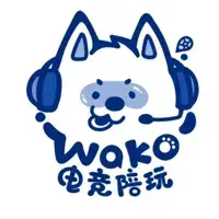 wako电竞
